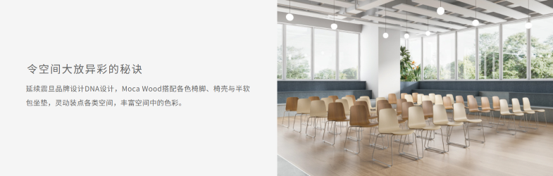 Moca Wood(图5)